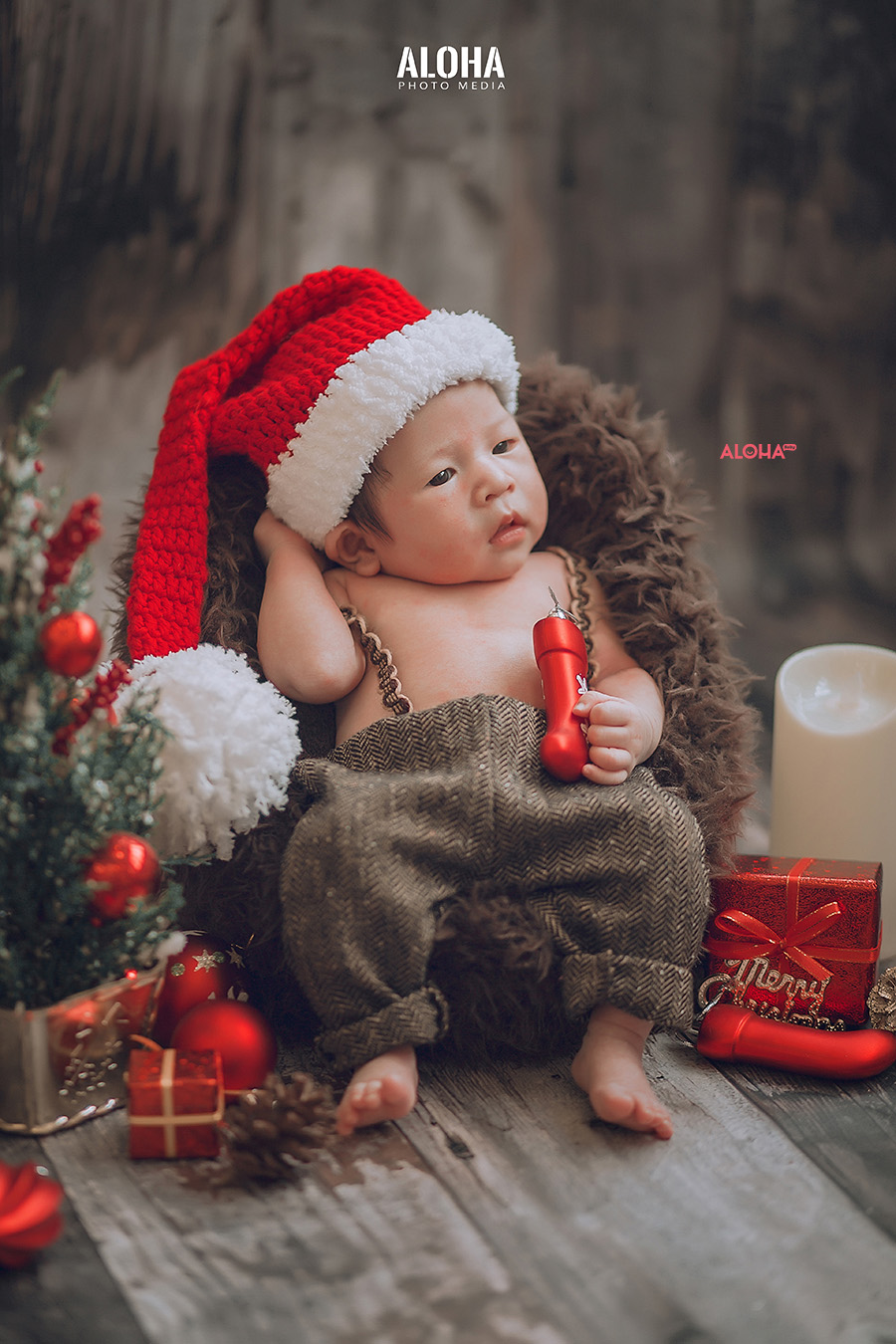 album ảnh giáng sinh newborn